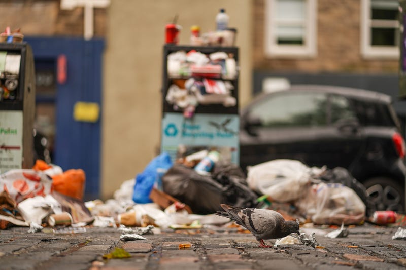 A pigeon is seen looking for food in piles of rubbish around an overflowing bin on August 24, 2022 in Edinburgh, Scotland. Refuse collectors belonging to the Unite Union are striking across Scotland until August 30 in a row over pay. (Photo by Peter Summers/Getty Images)