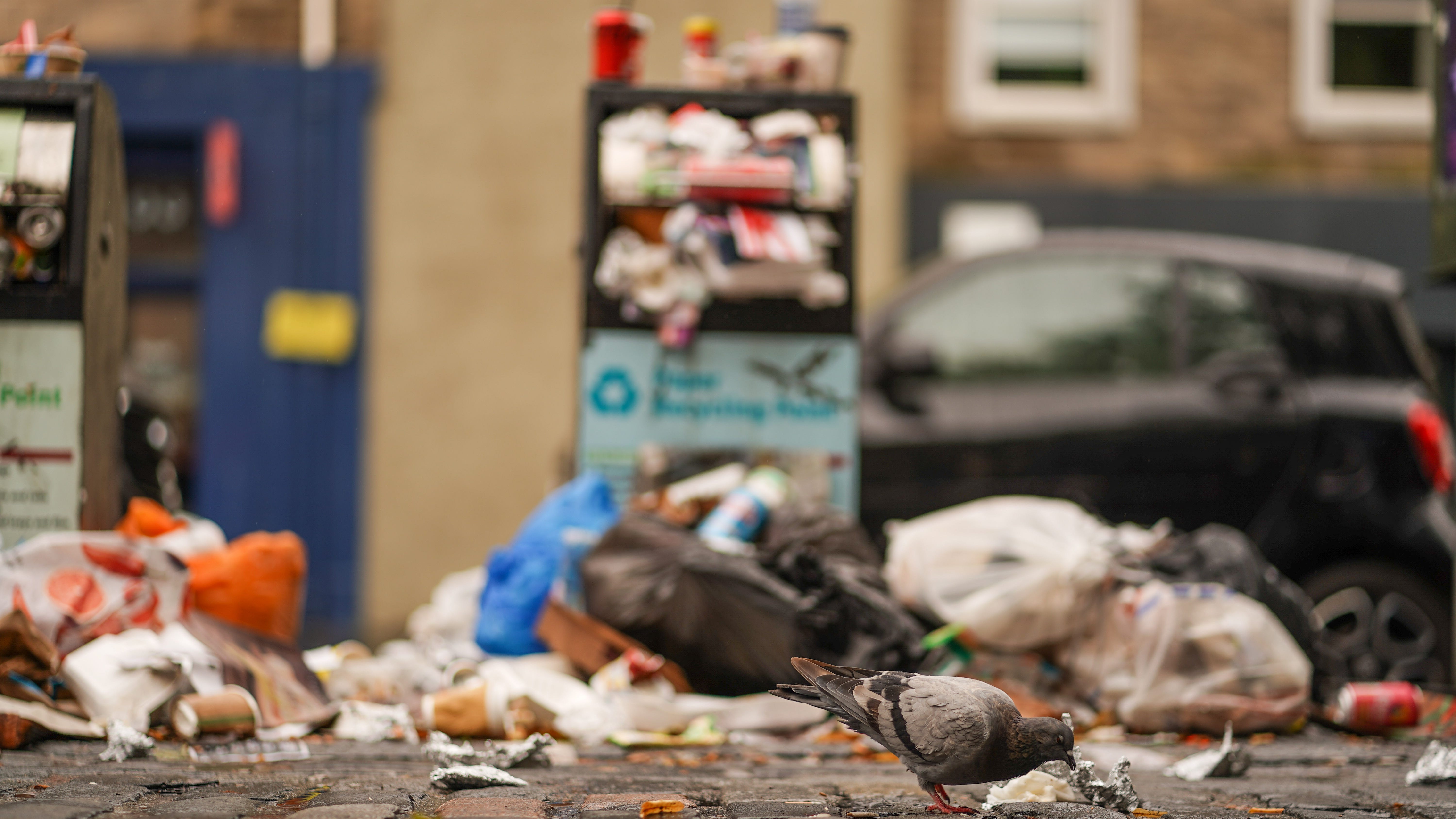 PODCAST: Digging through NYC's trash to uncover food waste