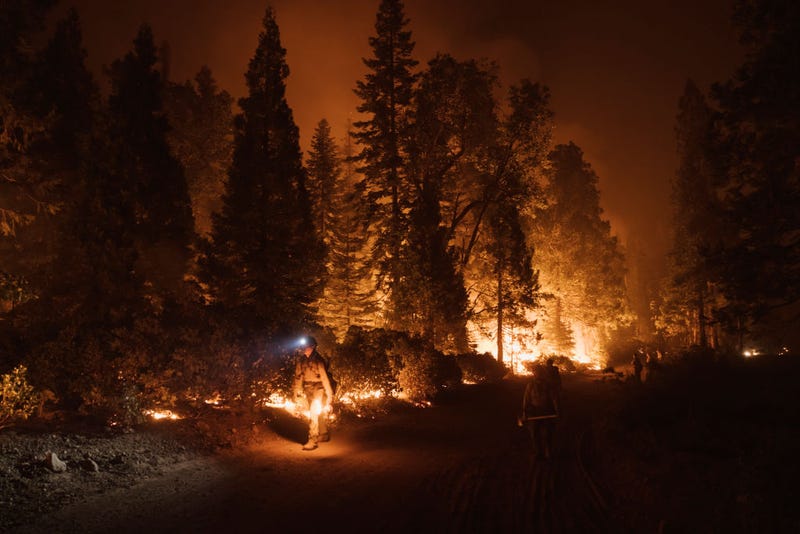 Firefighters light a controlled burn during the Mosquito Fire on September 14, 2022 in Foresthill, California.