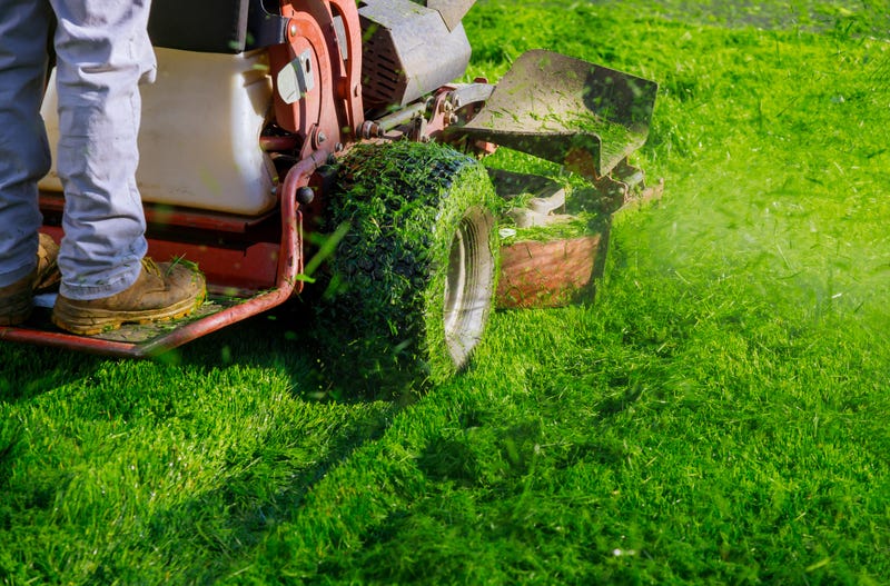 Landscaping