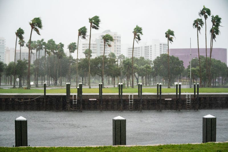A wind gust blows palm trees at Sarasota Bay as Hurricane Ian approaches on September 28, 2022 in Sarasota, Florida.