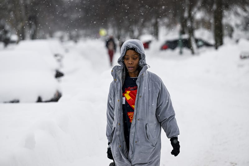 Buffalo Blizzard