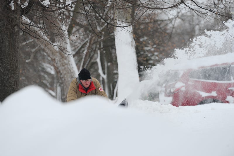 Buffalo Blizzard