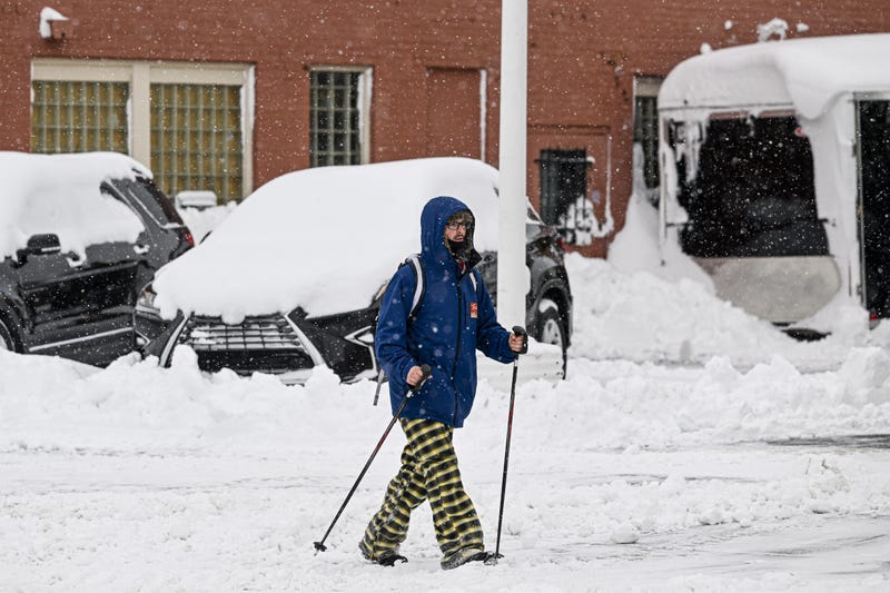 Buffalo Blizzard
