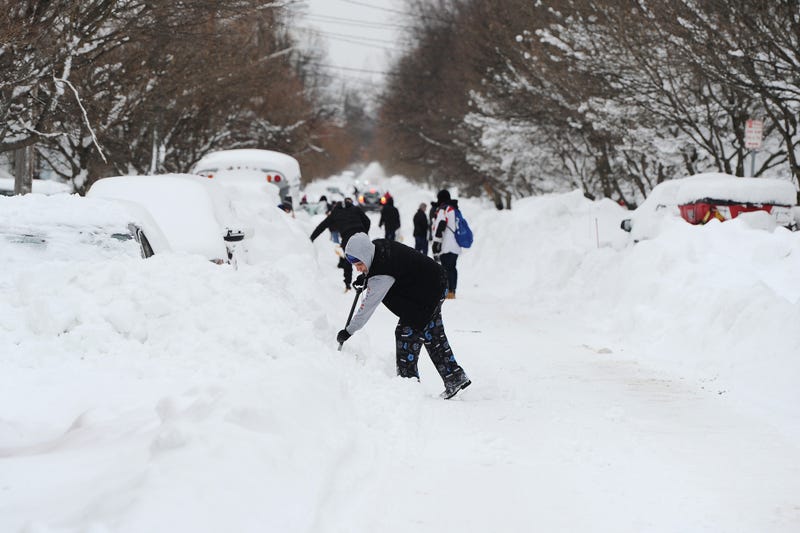 Buffalo Blizzard