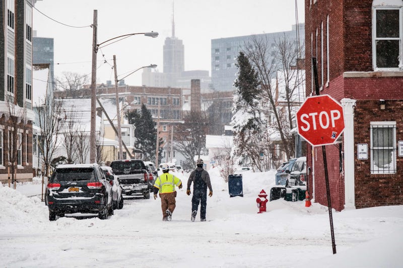 Buffalo Blizzard