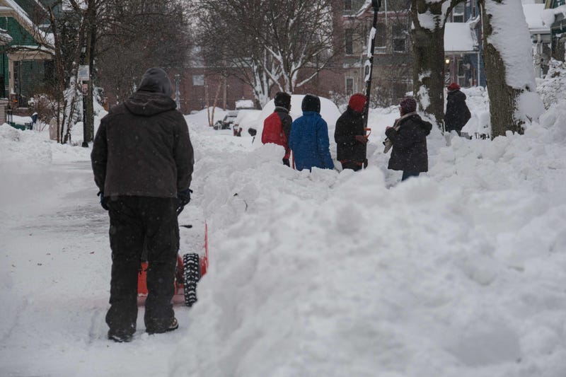 Buffalo Blizzard