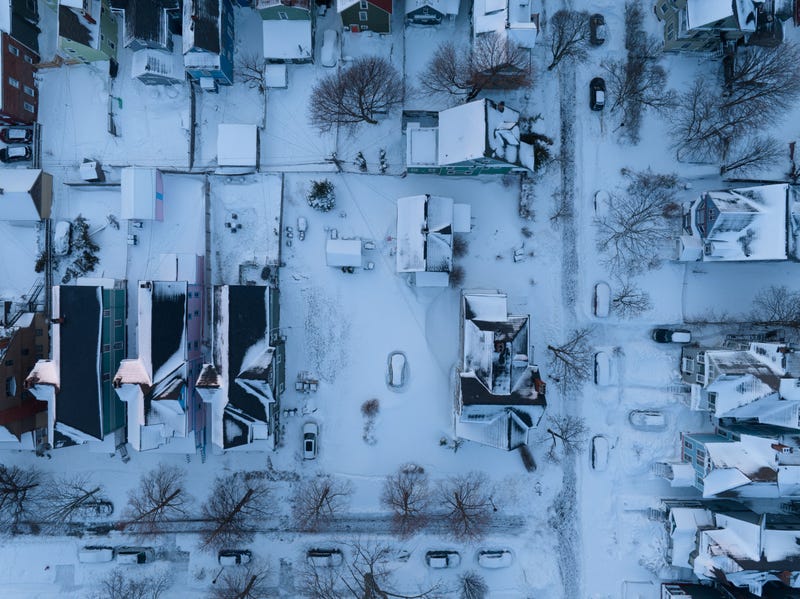 Buffalo Blizzard