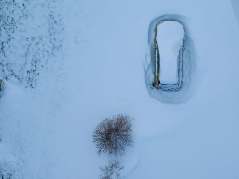 Buffalo Blizzard
