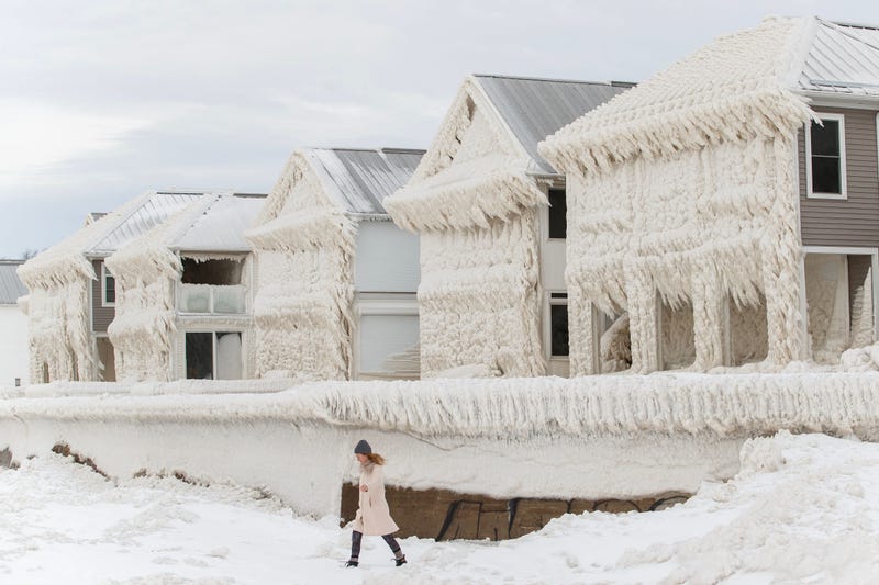 Buffalo Blizzard