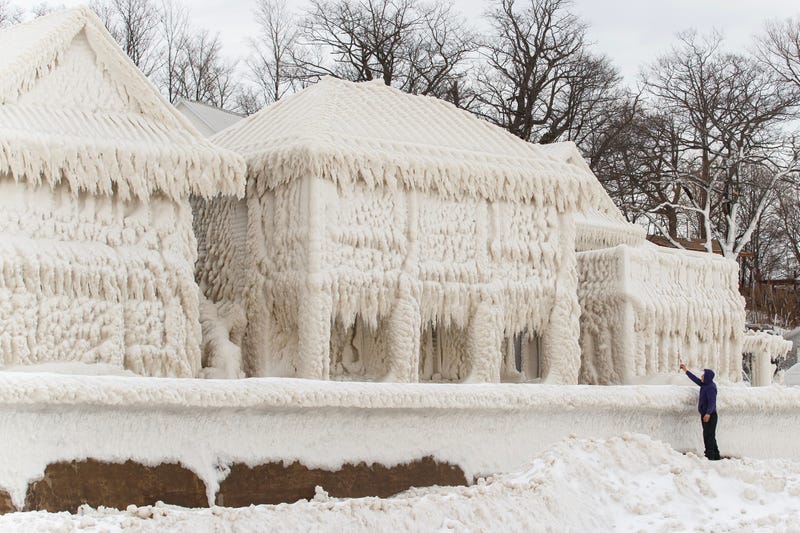 Buffalo Blizzard
