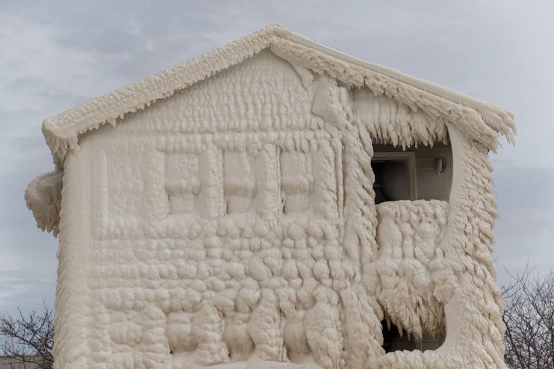 Buffalo Blizzard