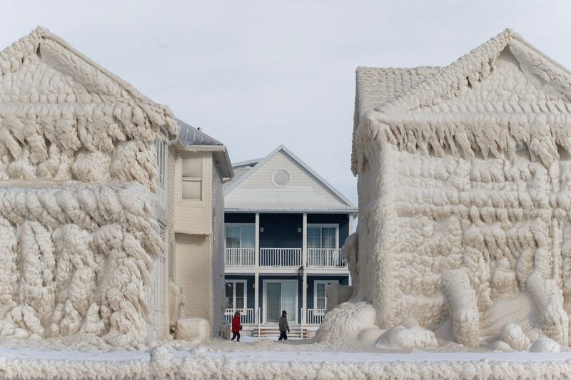Buffalo Blizzard