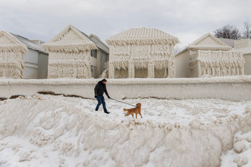 Buffalo Blizzard