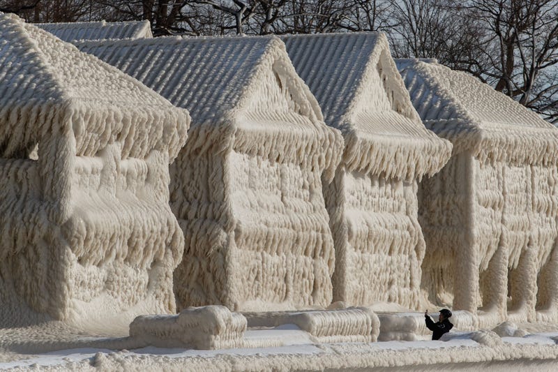 Buffalo Blizzard