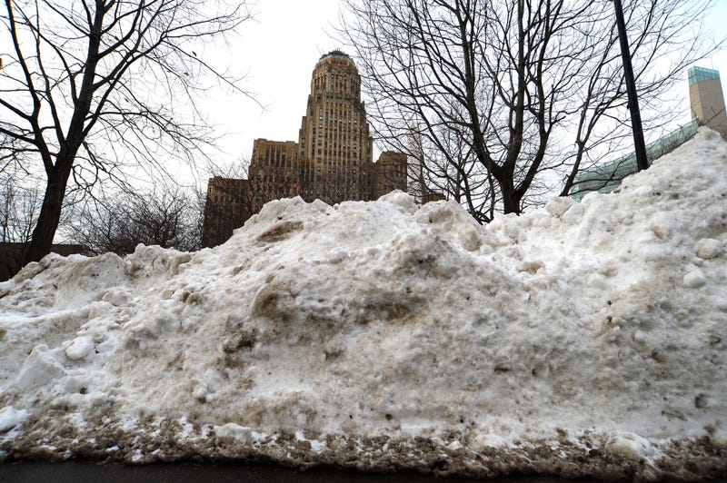 Buffalo Blizzard