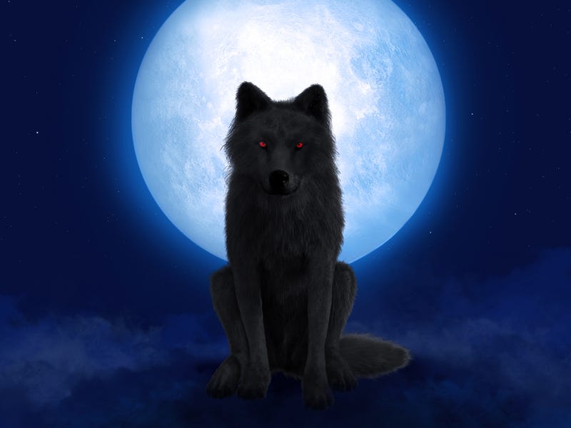wolf with red eyes in moonlight