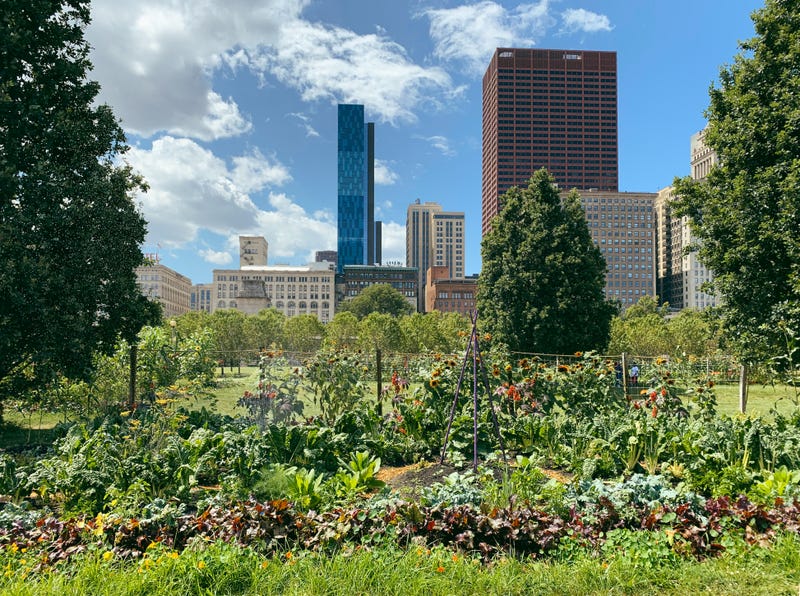 garden
