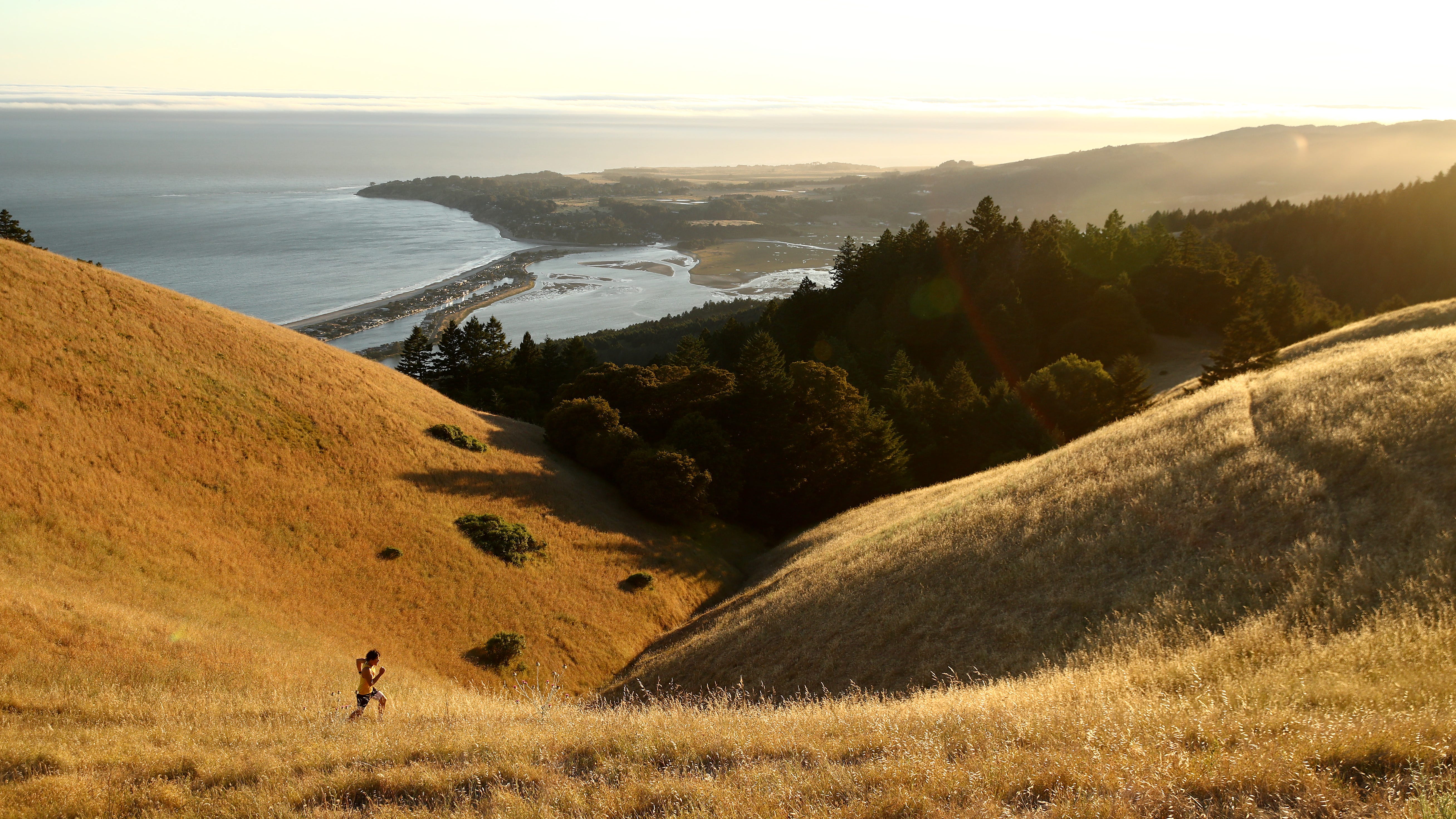 Marin County firefighters set to start on wildfire preparedness project