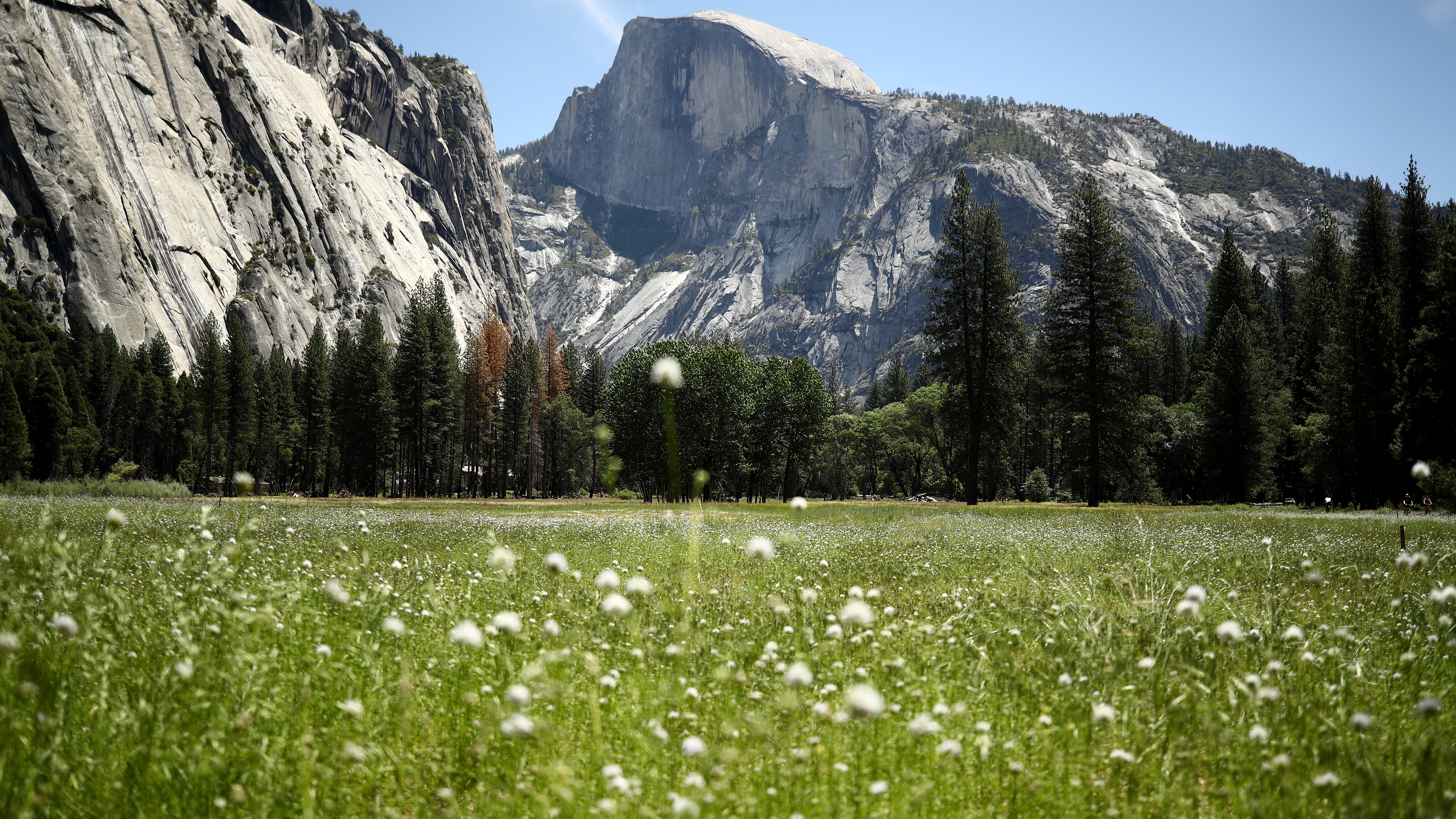Yosemite's south entrance set to reopen after Washburn Fire forced closure