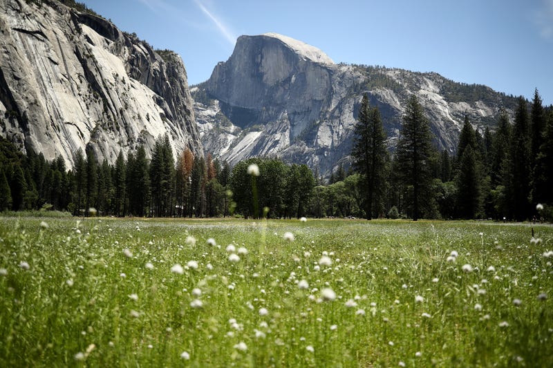 Yosemite National Park is set to re-open its south entrance this weekend after the Washburn Fire forced its closure in early July.