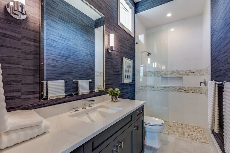 Bathroom with no door
