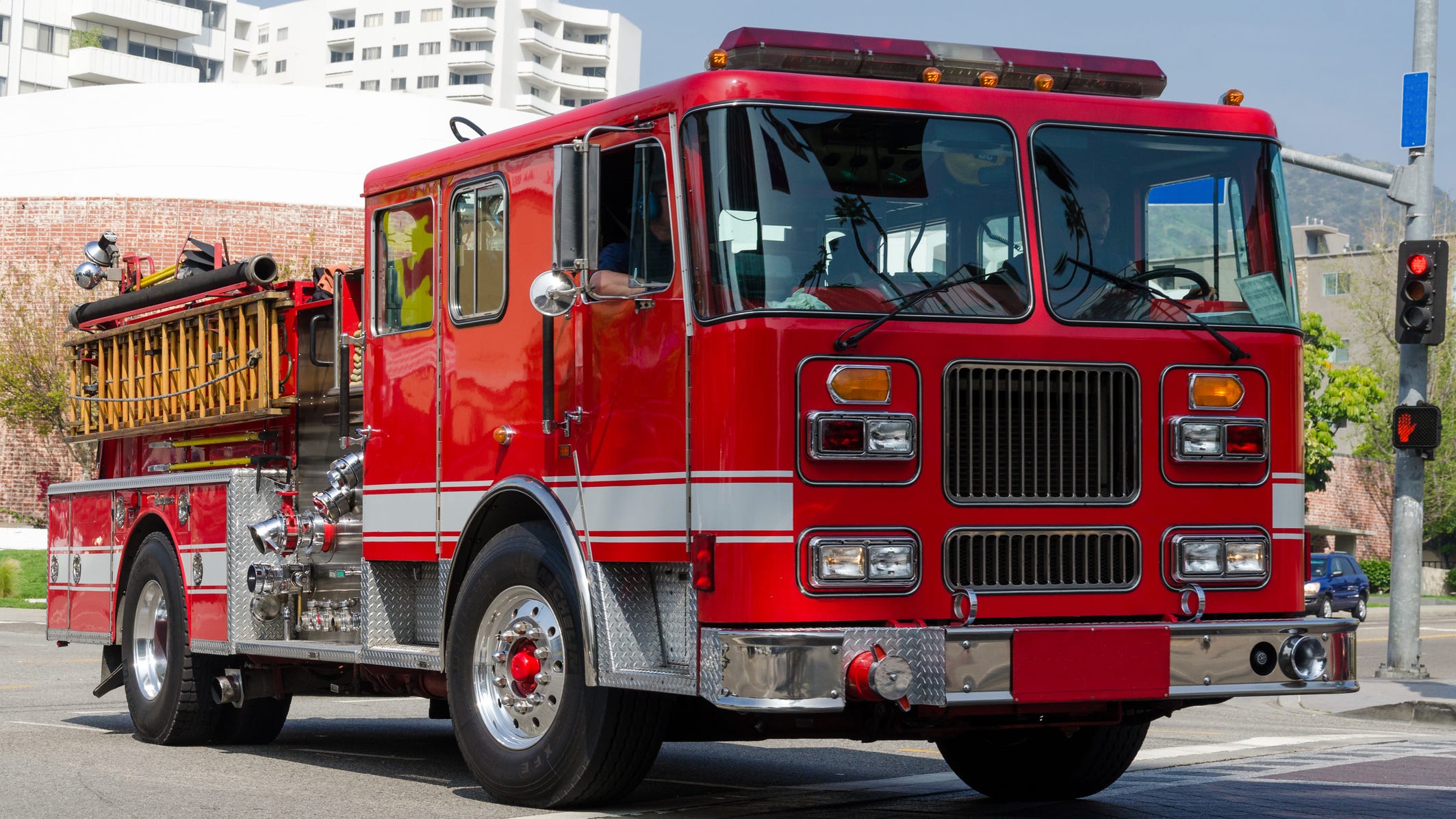 Fire at Los Angeles strip mall kills 17 cats at pet hotel