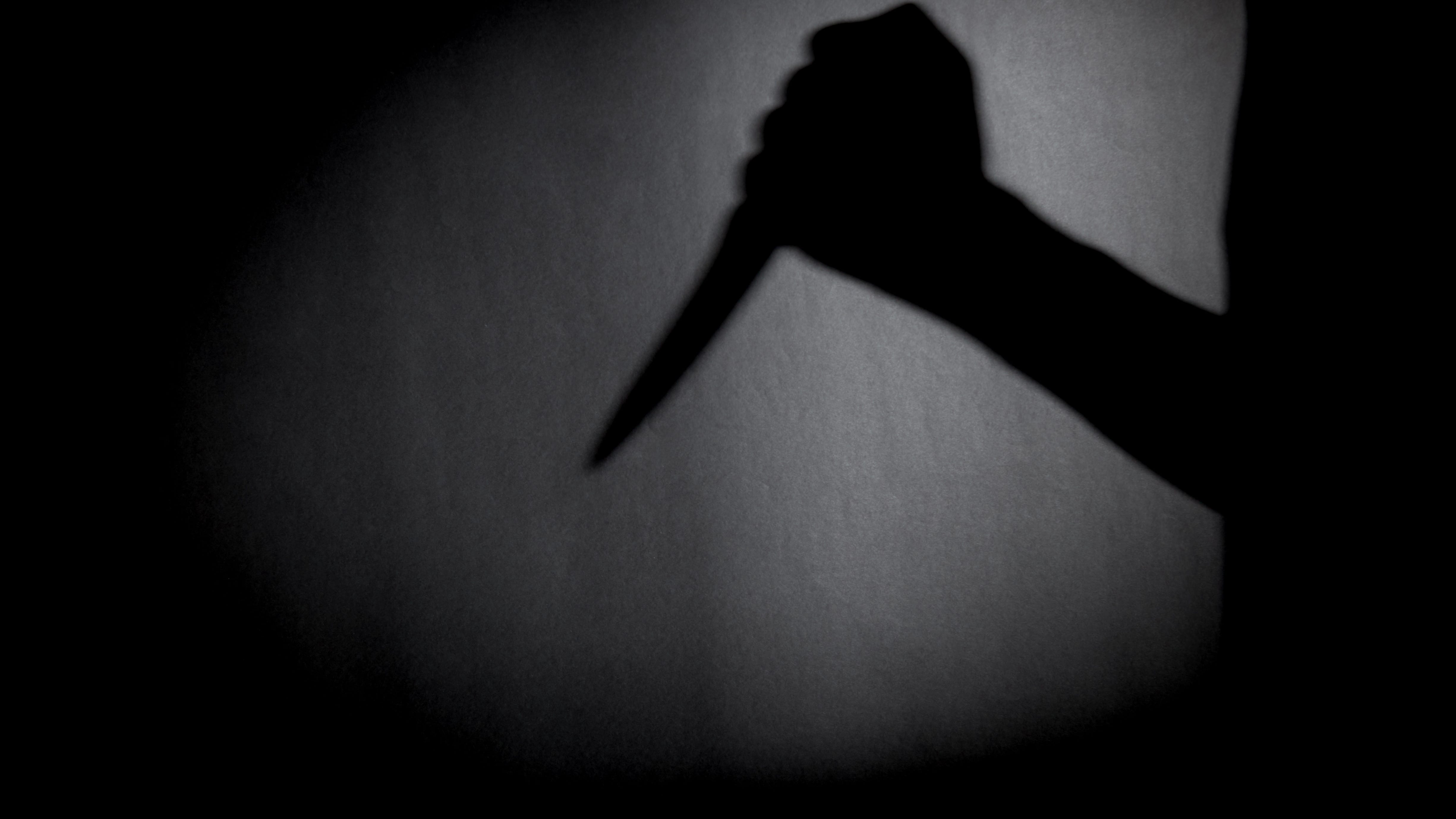 Inkster man charged with fatally stabbing 60-year-old man, his dog with kitchen knife