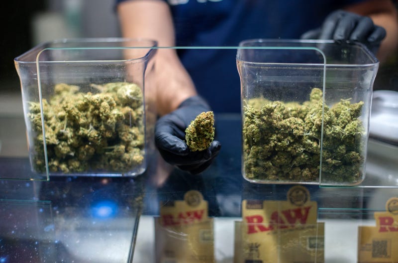Cannabis Club Reopens With Social Distancing Measures