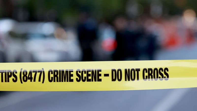A woman's torso was found near JFK Airport this week