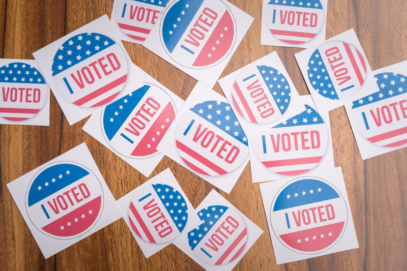 Voting, Felons, Convicted, Minnesota, Supreme Court, Constitution