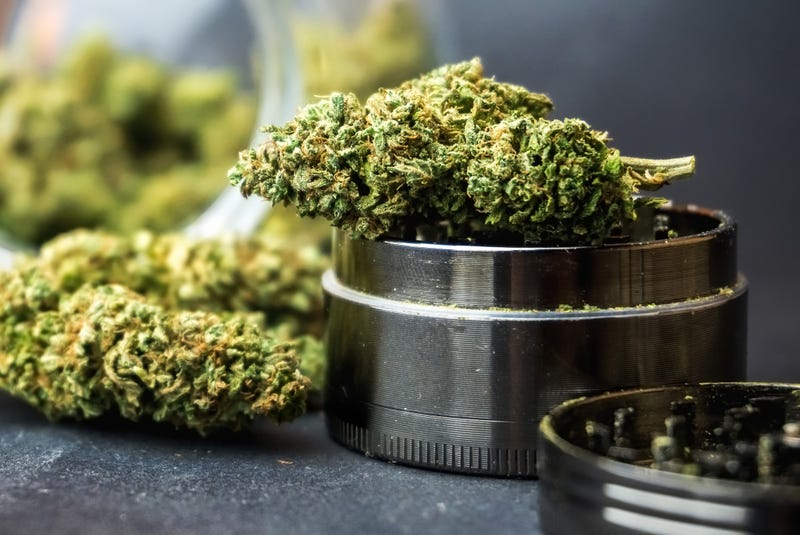marijuana buds and grinder