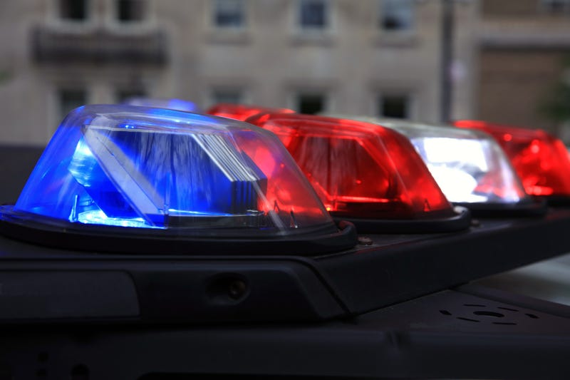 Police fatally shot a Pitbull while responding to a report of dogs fighting in the Bronx on Saturday.