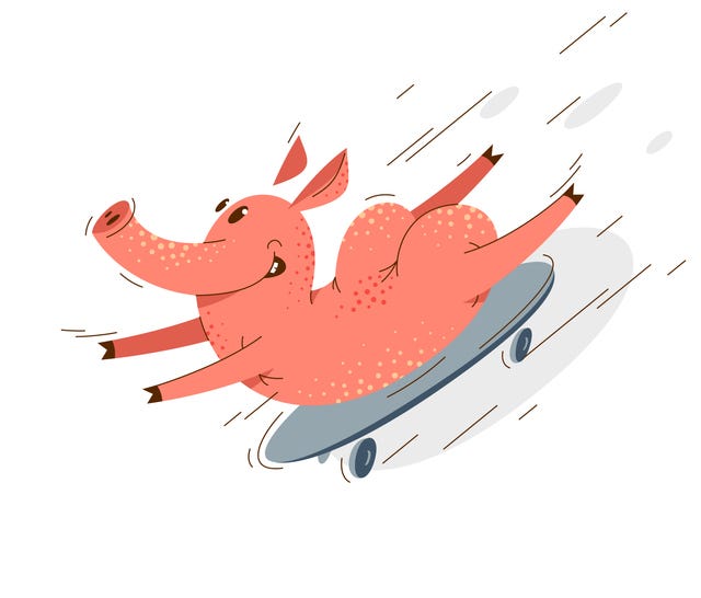 Skateboarding pig