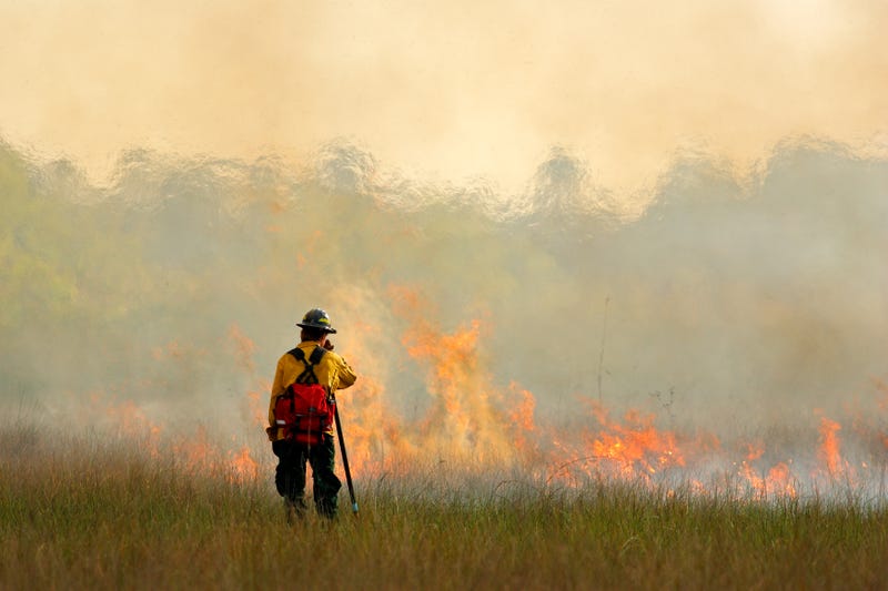 A prescribed burn in Santa Cruz County has spread out of control, prompting evacuations.