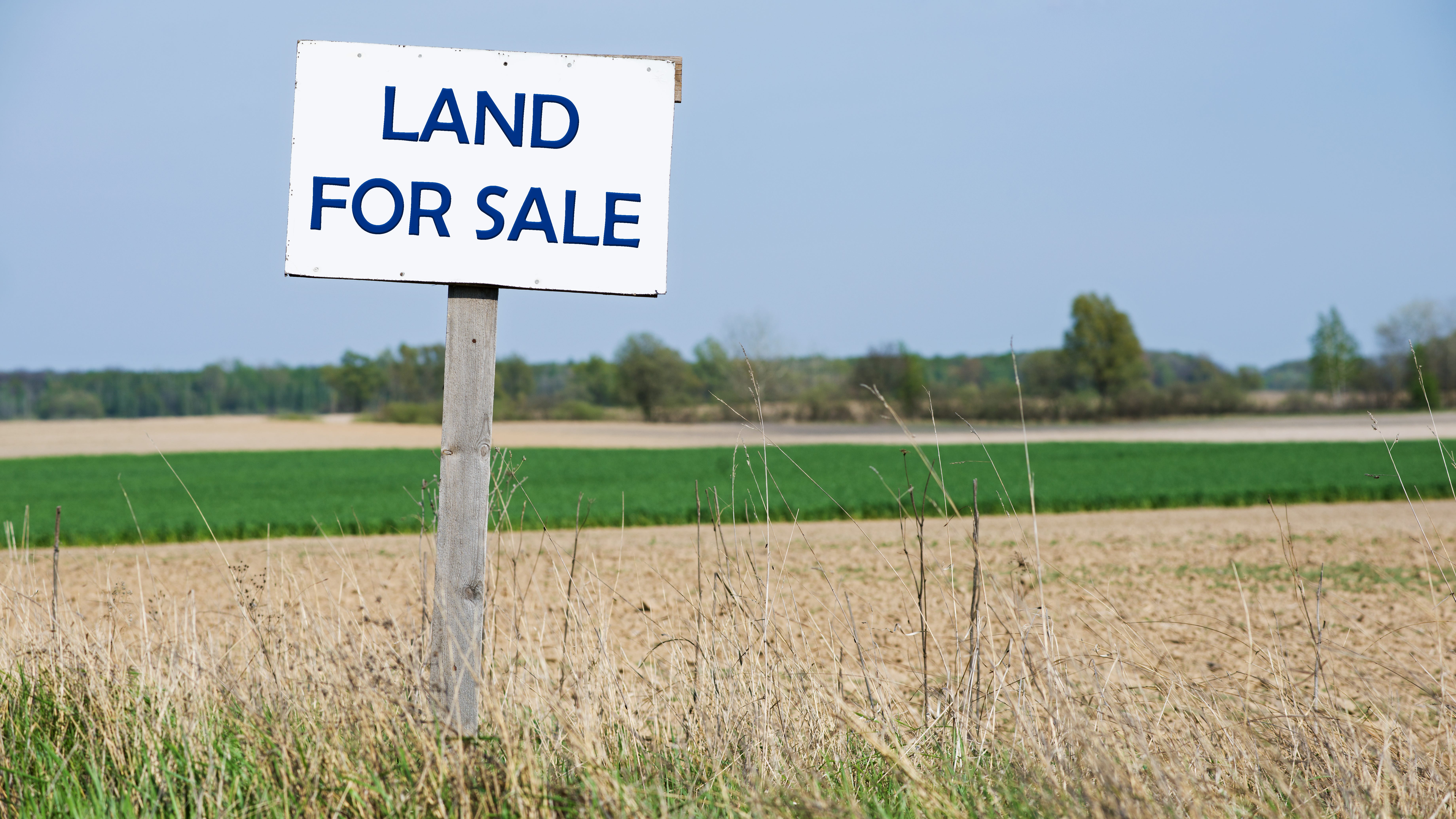 Report: 2021 breaks rural land sale records