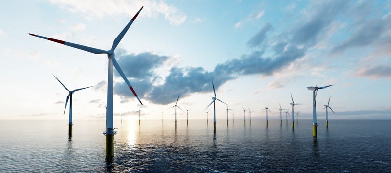 A wind farm.