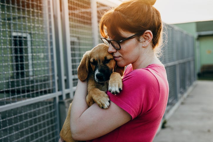 Woman At Animal Shelter