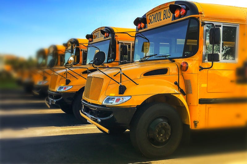 school buses