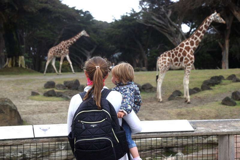 SF Zoo