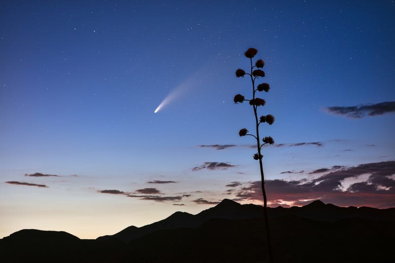 Meteor