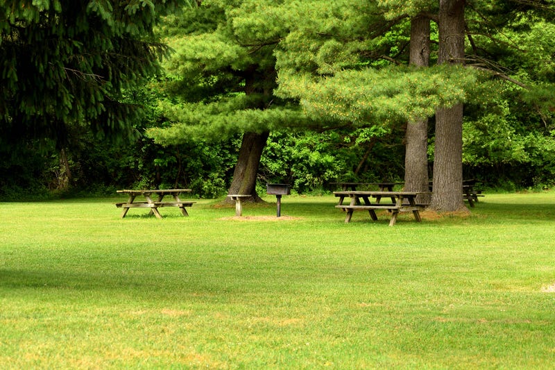 A park.