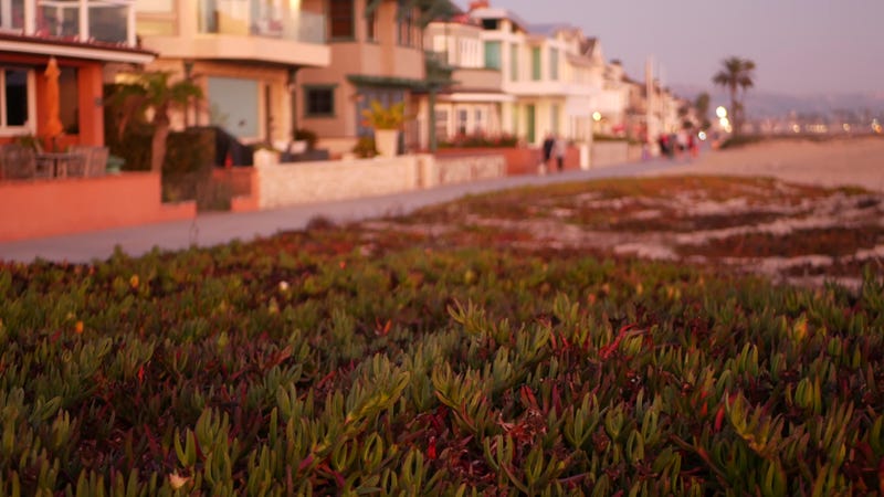 Summertime dusk over beachfront weekend houses.