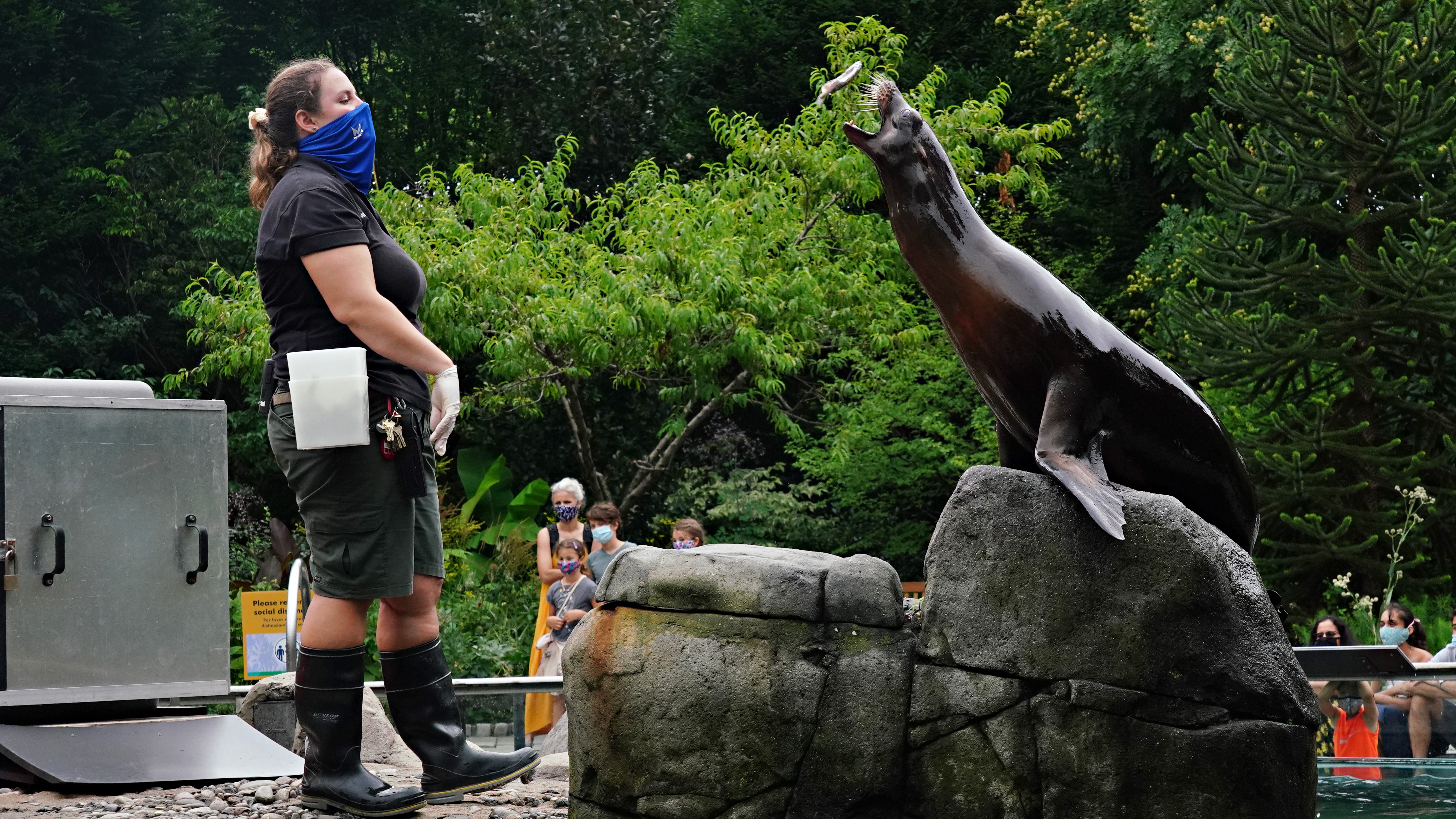 St. Louis Zoo to mandate vaccinations for employees