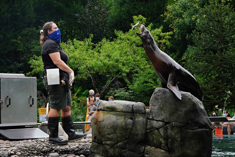 Zoo