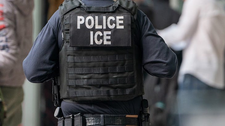 ICE releases Iranian-born New Orleans woman after neighbors, Scalise get involved