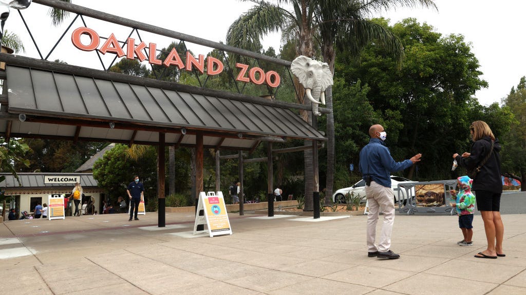 Zoo recovers 5 of 6 birds that escaped storm-damaged aviary