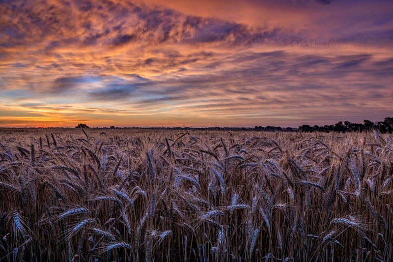 Sunset in Kansas