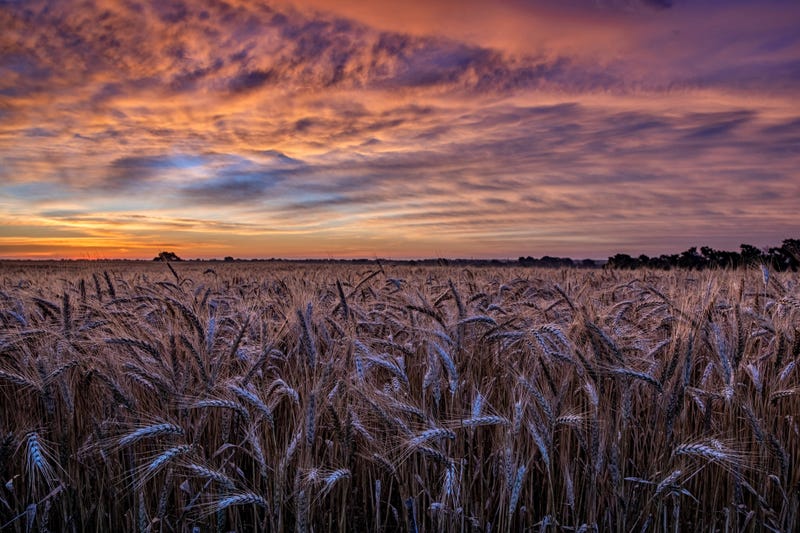 © 2021 KFKT (Audacy). All rights reserved. | iStock / Getty Images Plus