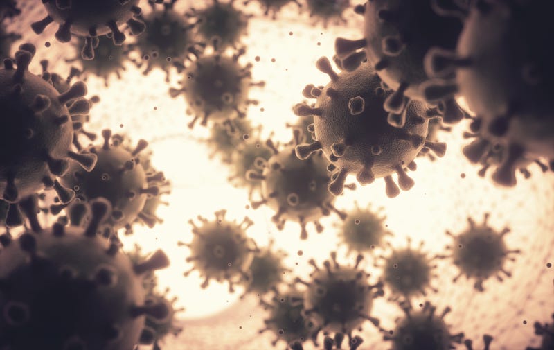Respiratory syncytial virus